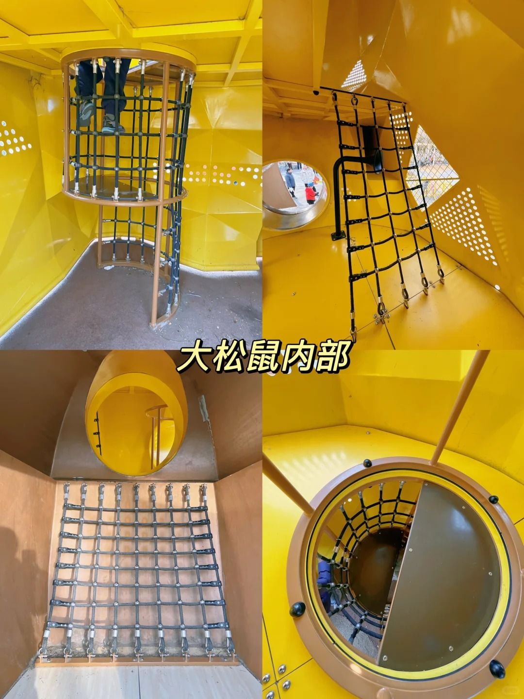 ?️松鼠乐园｜免费无动力?（21_50）?清河_3_是张开心呀_来自小红书网页版.jpg