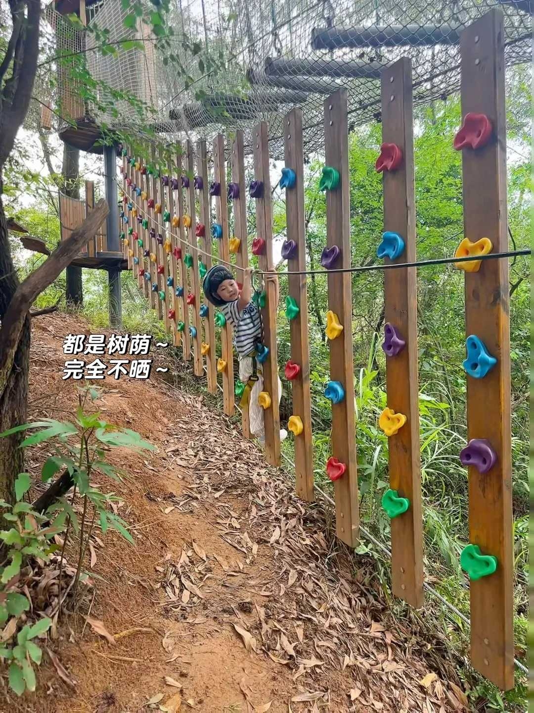 深圳暑假必冲❗️1.1m娃畅玩不晒de丛林穿越?_2_.jpg