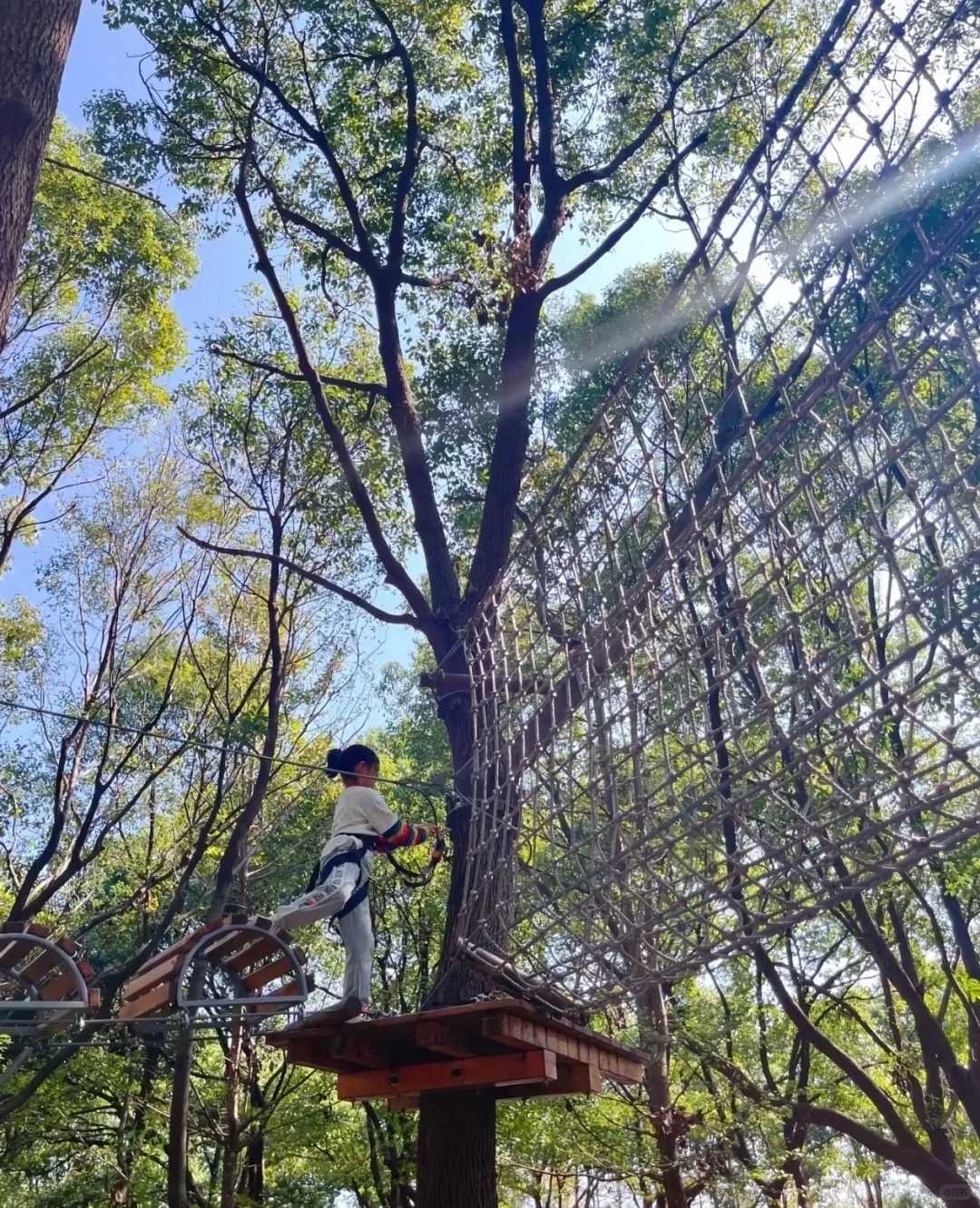 _2_梦想天空_.jpg