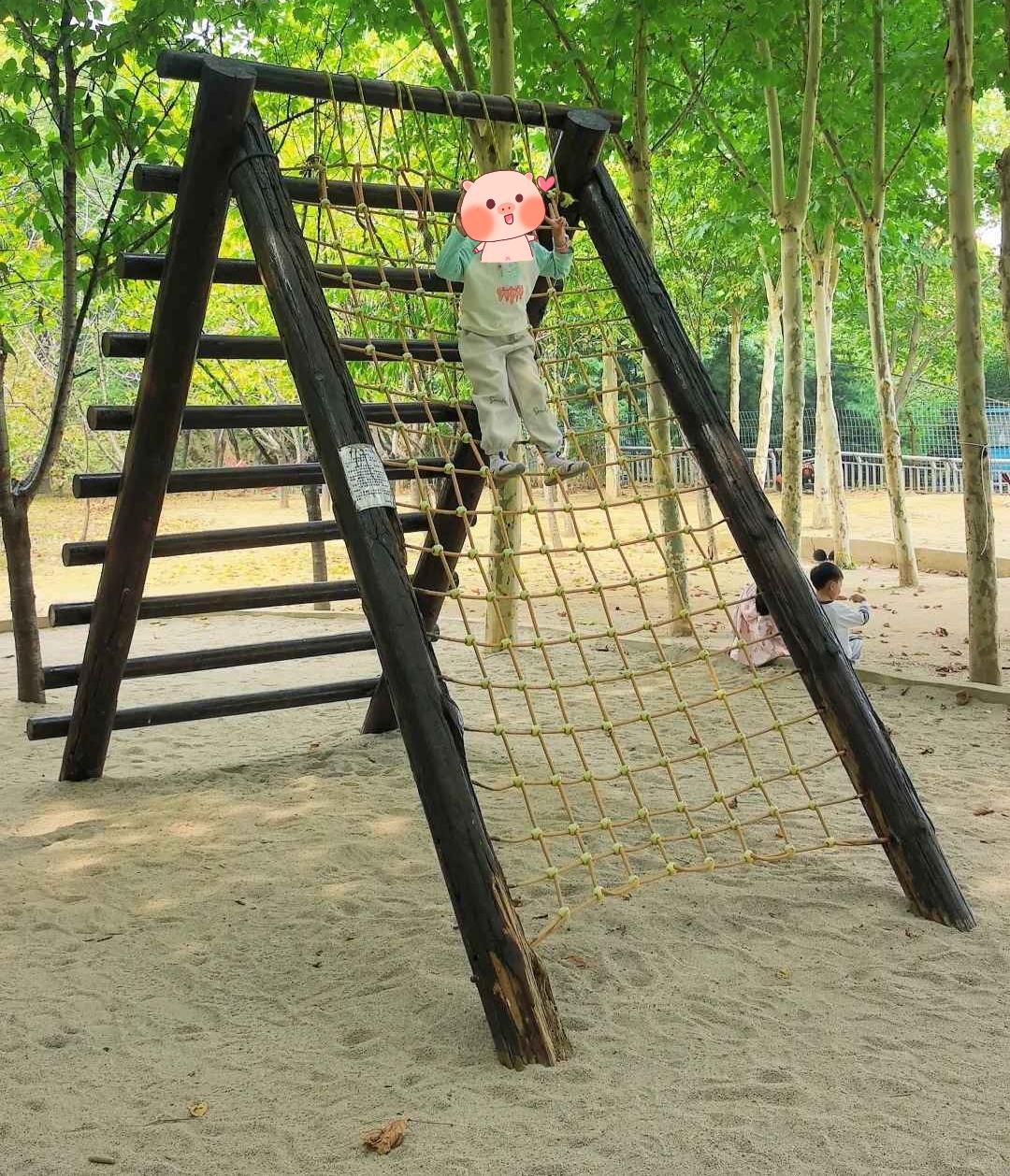 筛选厂家时，如何判断对方有没有真正的方案设计能力？